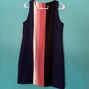 Ann Taylor Petites Slimming Stripe Sleeveless Shift Dress 8